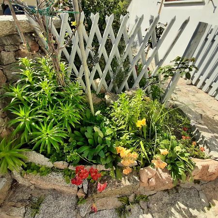 Appartement I Giardini Di Carmen à La Maddalena  Extérieur photo